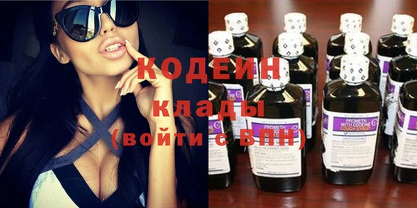 хмурый Михайловск