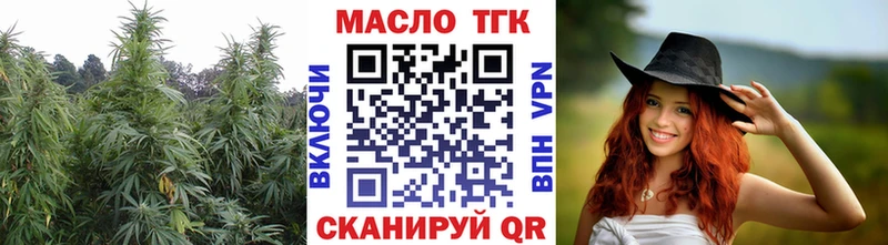 ТГК Wax  Ельня 